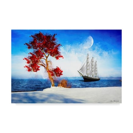 Ata Alishahi 'Sail Boat' Canvas Art,16x24